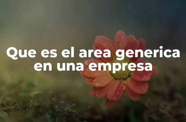 Que es el Area Generica en una Empresa