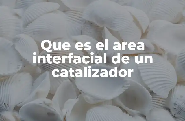 Que es el Area Interfacial de un Catalizador