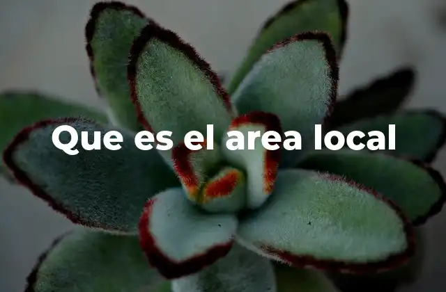 Que es el Area Local