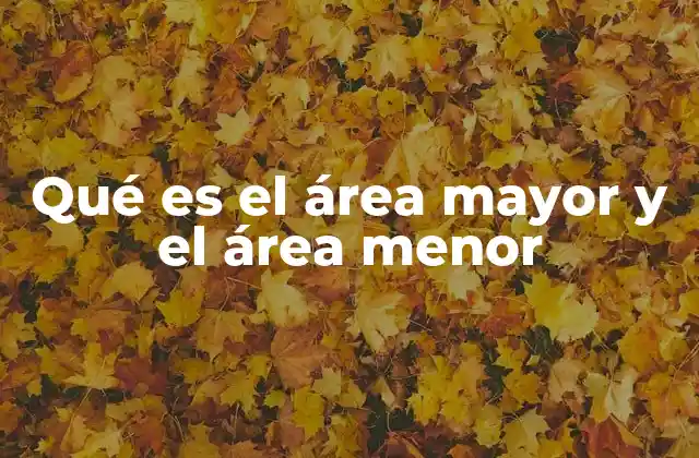 Qué es el Área Mayor y el Área Menor