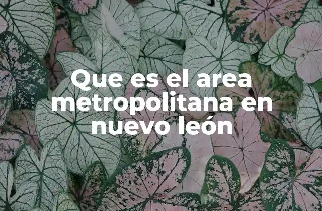 Que es el Area Metropolitana en Nuevo León