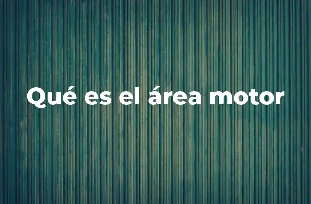 Qué es el Área Motor