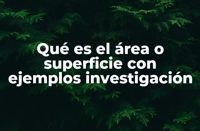 Qué es el Área o Superficie con Ejemplos Investigación