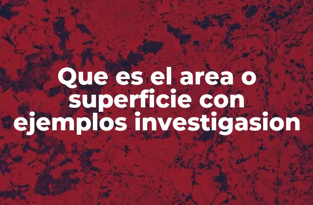 Que es el Area o Superficie con Ejemplos Investigasion