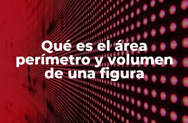 Qué es el Área Perímetro y Volumen de una Figura