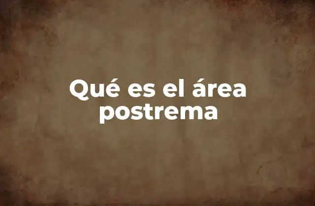 Qué es el Área Postrema 2 La importancia del área postrema en la fisiología humana