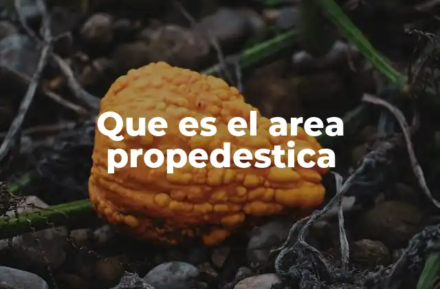 Que es el Area Propedestica