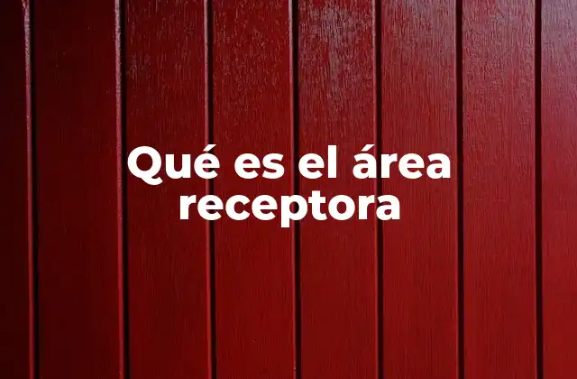 Qué es el Área Receptora