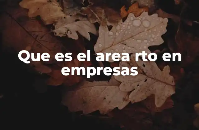 Que es el Area Rto en Empresas