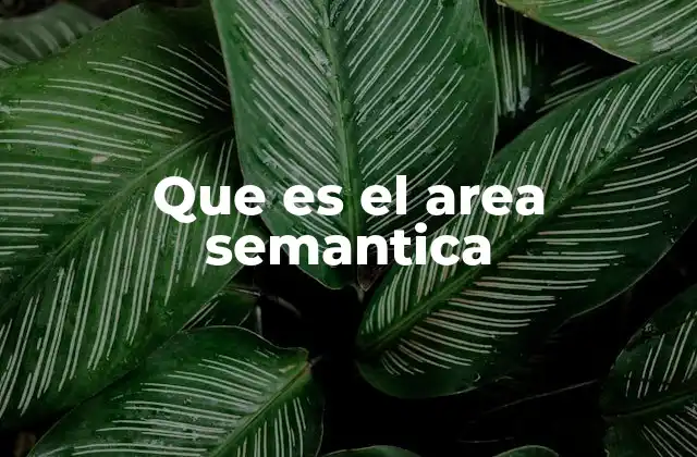 Que es el Area Semantica
