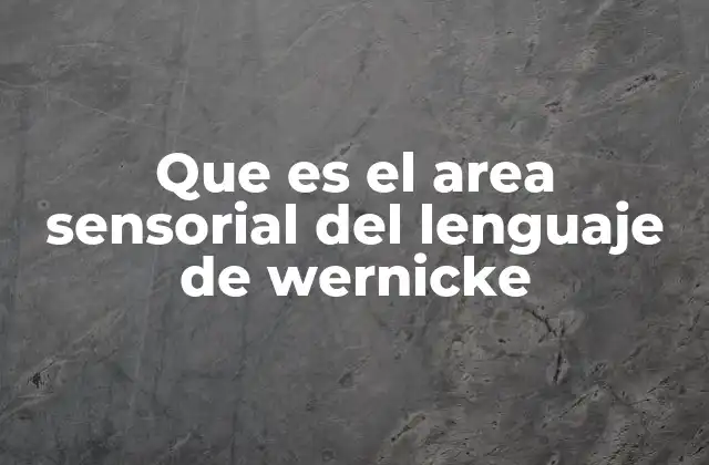 Que es el Area Sensorial Del Lenguaje de Wernicke