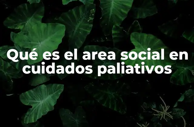 Qué es el Area Social en Cuidados Paliativos