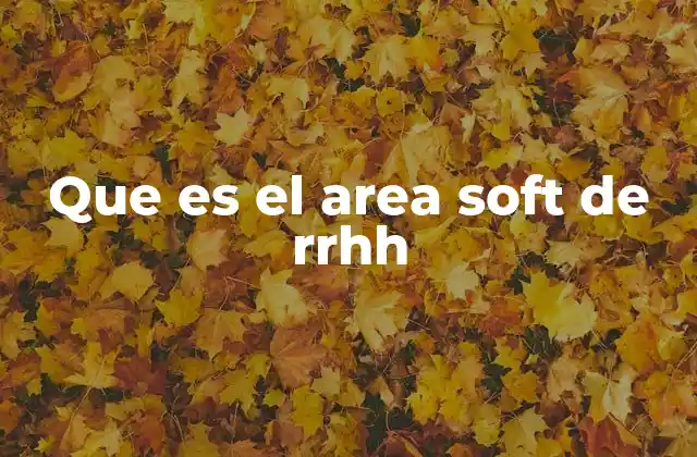 Que es el Area Soft de Rrhh