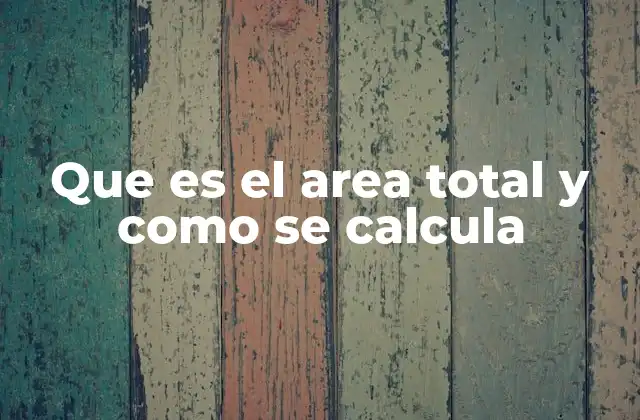 Que es el Area Total y como Se Calcula
