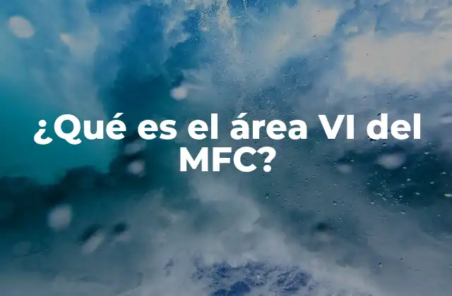 ¿qué es el Área Vi Del Mfc?