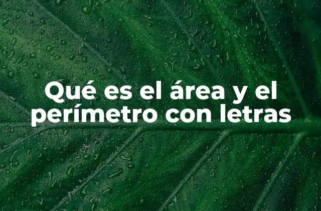 Qué es el Área y el Perímetro con Letras