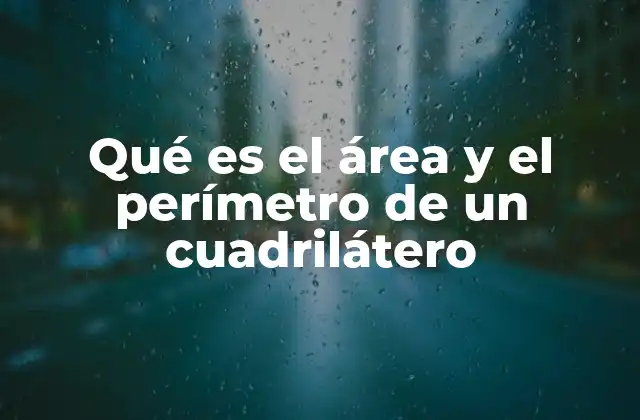 Qué es el Área y el Perímetro de un Cuadrilátero
