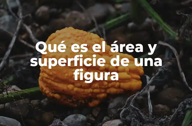 Qué es el Área y Superficie de una Figura