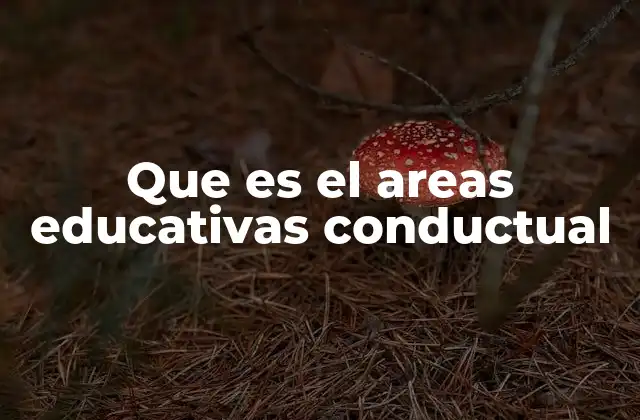 Que es el Areas Educativas Conductual