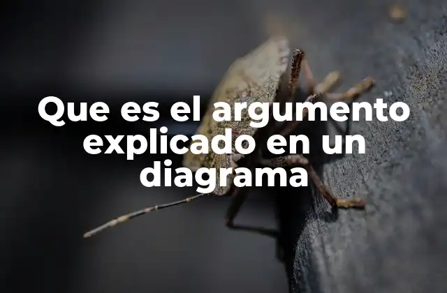 Que es el Argumento Explicado en un Diagrama