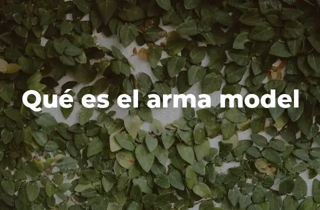 Qué es el Arma Model