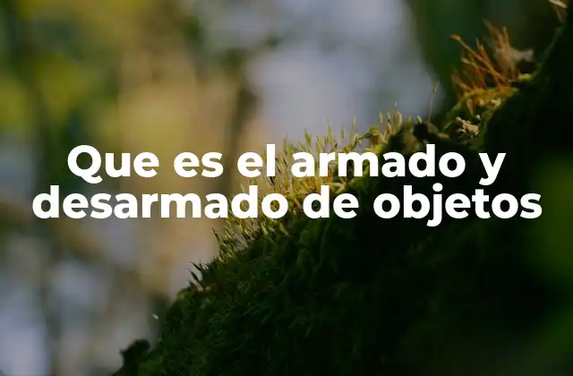 Que es el Armado y Desarmado de Objetos
