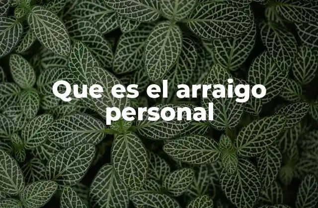 Que es el Arraigo Personal