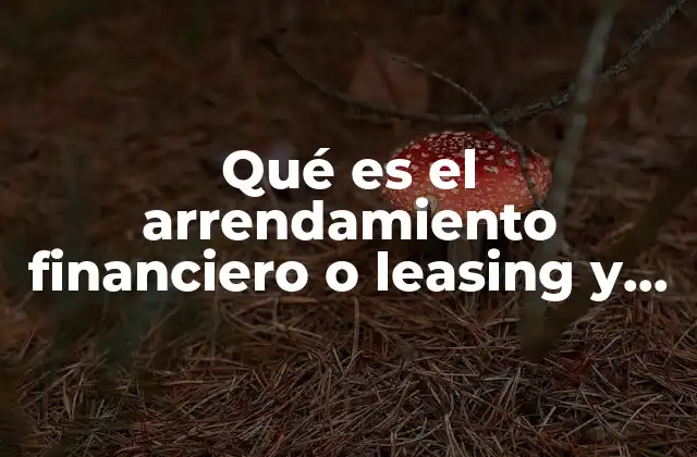 Qué es el Arrendamiento Financiero o Leasing y Ejemplos
