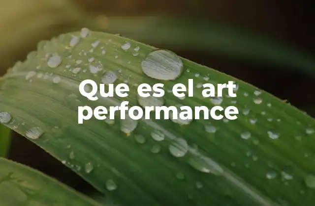 Que es el Art Performance