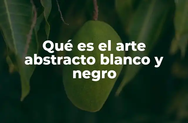 Qué es el Arte Abstracto Blanco y Negro