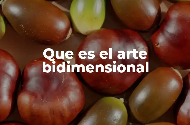 Que es el Arte Bidimensional 2 El arte plano como expresión visual