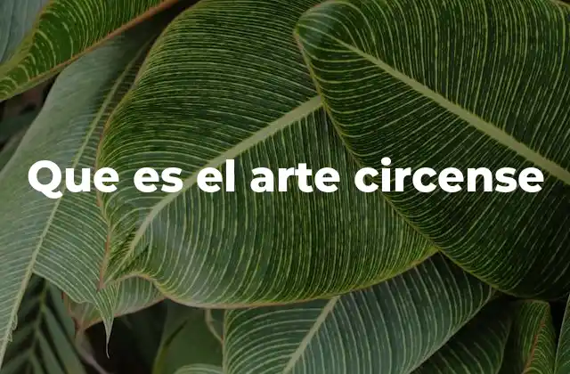 Que es el Arte Circense