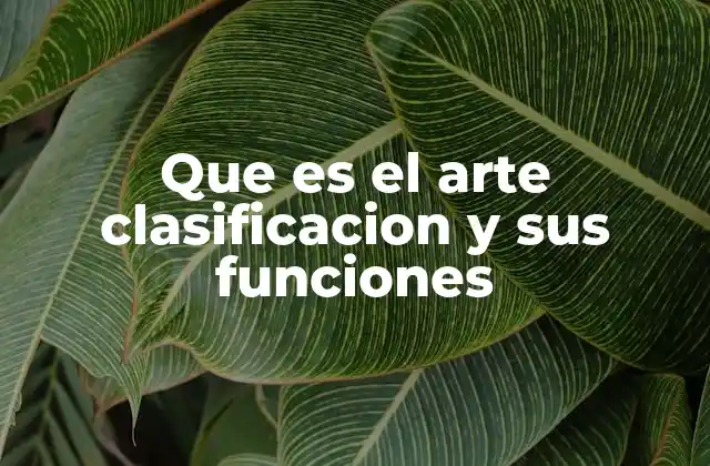Que es el Arte Clasificacion y Sus Funciones