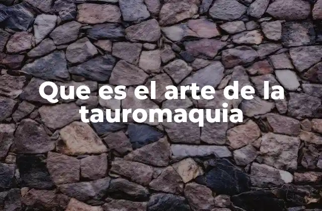 Que es el Arte de la Tauromaquia