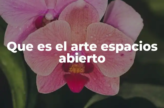 Que es el Arte Espacios Abierto