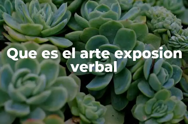Que es el Arte Exposion Verbal