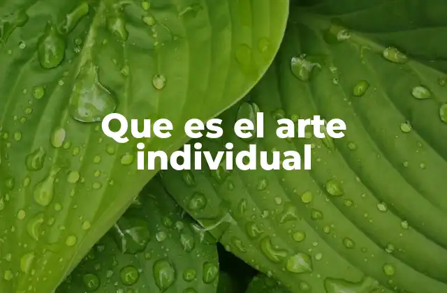 Que es el Arte Individual