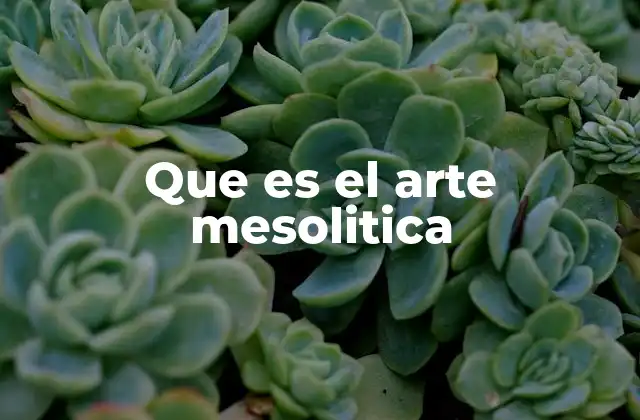 Que es el Arte Mesolitica