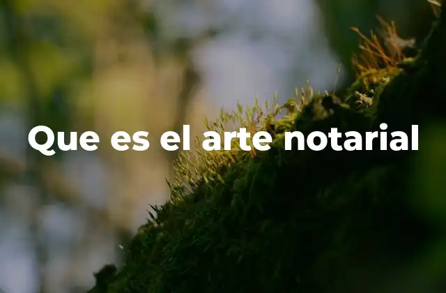 Que es el Arte Notarial
