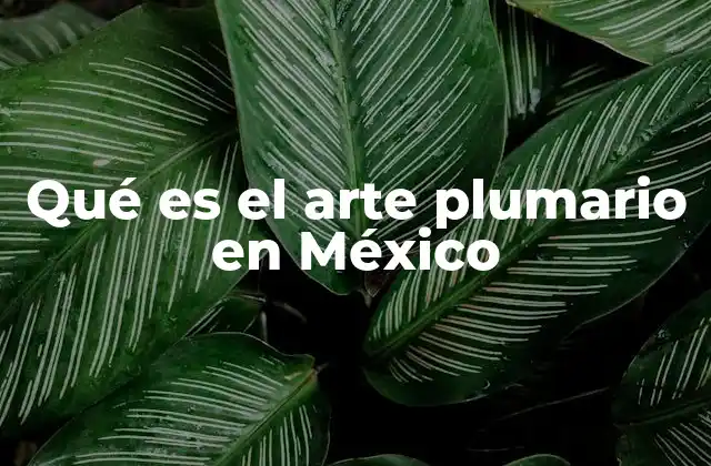 Qué es el Arte Plumario en México