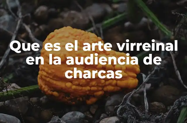 Que es el Arte Virreinal en la Audiencia de Charcas