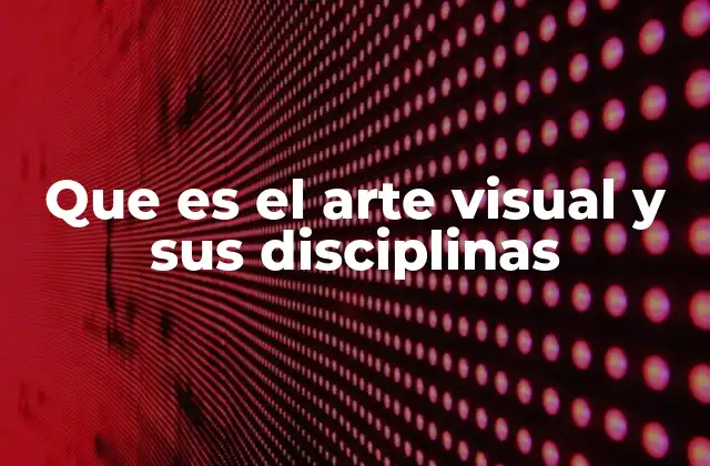 Que es el Arte Visual y Sus Disciplinas
