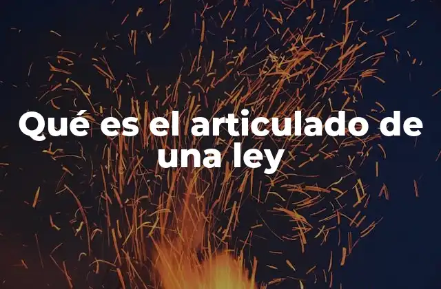 Qué es el Articulado de una Ley