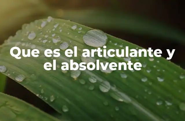 Que es el Articulante y el Absolvente