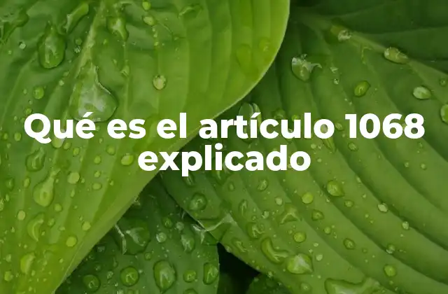 Qué es el Artículo 1068 Explicado