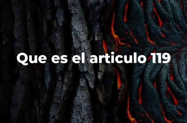 Que es el Articulo 119