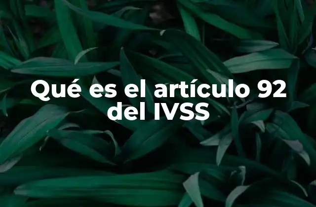 Qué es el Artículo 92 Del Ivss