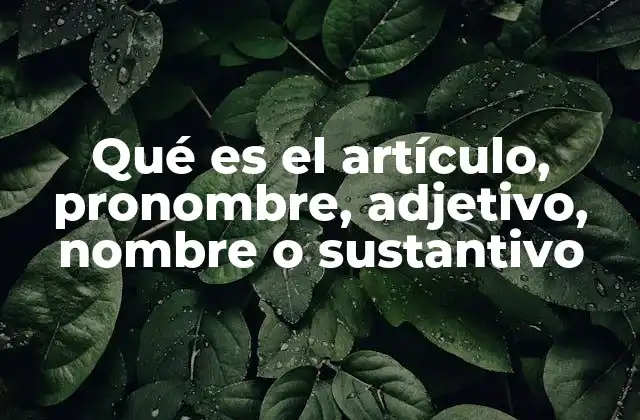 Qué es el Artículo, Pronombre, Adjetivo, Nombre o Sustantivo