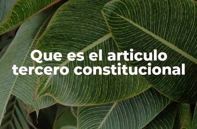 Que es el Articulo Tercero Constitucional