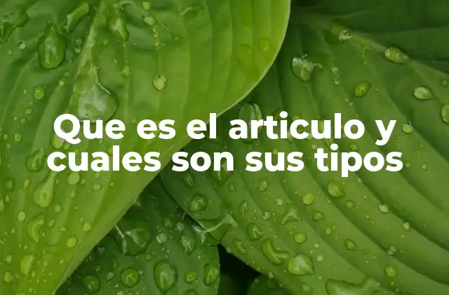 Que es el Articulo y Cuales Son Sus Tipos